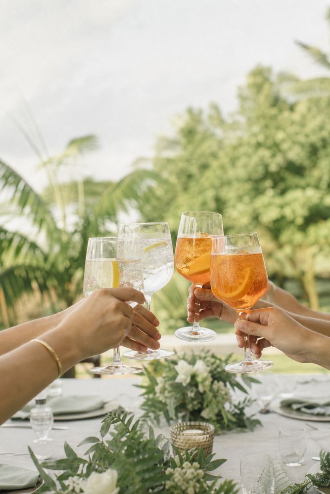 Celebratory toast with raised glasses over a garden dinner table