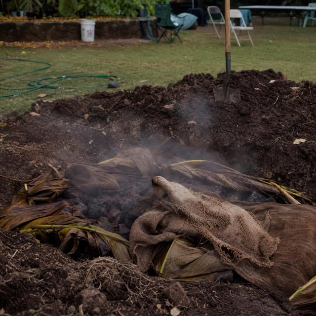 Imu earth oven covered with banana leaves and burlap